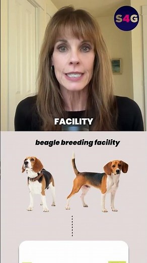 Alexandra Paul: How We Rescued 1,500 Beagles from Ridglan Farms