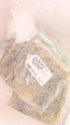 8.4K views · 55 reactions | WHITE BAIT TODAY!!!朗蓼杻 today we have beautiful White Bait on the menu! We will be open at 10 am see you then! | Captain Kai Moana | Facebook