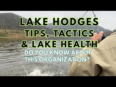 Lake Hodges Fishing: Tips, Tactics and the Lake Health