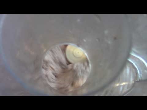 Chicken Homemade Cat Food