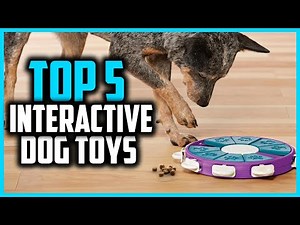 ✅ Top 5 Best Interactive Dog Toys 2025 – Keep Your Pup Happy & Engaged!