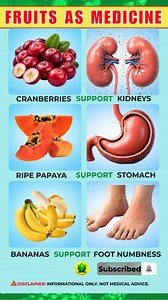 🟢 Fruits as Medicine | How Everyday Fruits Support Organ Health Fresh, natural fruits play a vital role in nourishing the body, strengthening the immune system, and supporting the body’s natural healing processes. Beyond providing energy, fruits serve as a foundational pillar of long-term health and resilience, helping the body maintain balance and function efficiently over time. Fruits are rich in essential vitamins, minerals, and bioactive compounds with powerful anti-inflammatory and antioxi