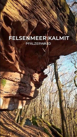 800 Meter Felsenmeer | Wandern am Kalmit Pfälzerwald #pfälzerwald #wandern #hiking