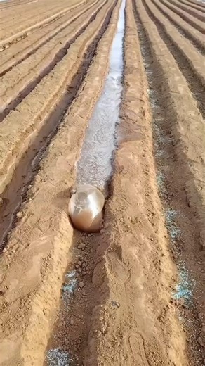 Why Farmers Use Water Bags