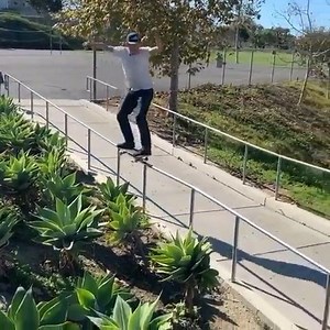 7.7K views · 515 reactions | @leoromero about as classic as it gets right here! | Toy Machine | Facebook