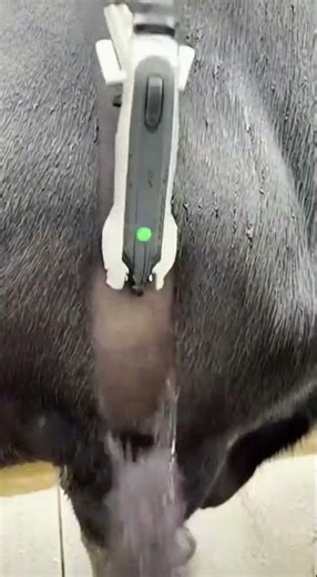 Industrial Machine vs Dirty Buffalo… The Ending Is Wild 🐃⚙️