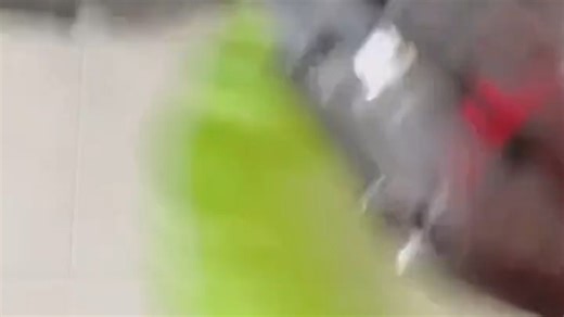 赫宝（HEXBUG）【圣诞礼遇季】机器虫仿生机器虫机械虫遥控动物儿童玩具男孩女_【遥控壁虎】USB充电_可墙壁爬行_机器虫