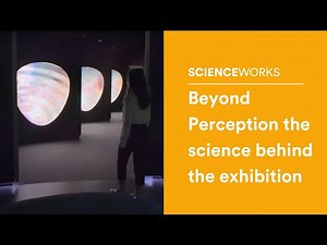 Beyond Perception the science behind the exhibition