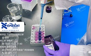 #医瑞贝生物 #您的技术实验服务伙伴 实验方法：Transwell细胞迁移