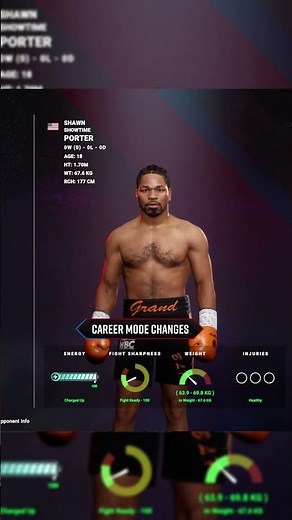 Career Fighter Customization 👑🎮