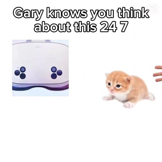 Mhm yh ts true #gorillatag #gorillatagquest #meta #gorilla