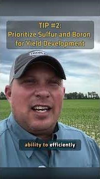3 Tips For Side-Dressing Corn