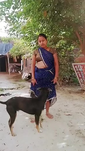 Playful Moments with a Dog in Traditional Attire