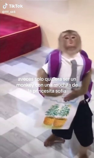 Monkeys with Backpack Trend: Memes, Dances, and Edited Videos