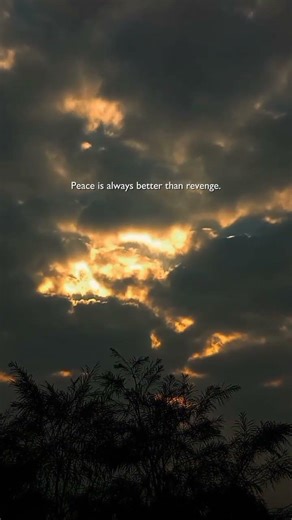 peace is always better than revenge 🌼💗 #fypシ #peace #viral #nature