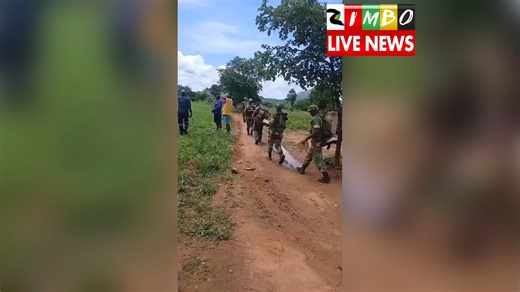 Breaking: Masoja votsvaga mhondi yekuGuruve | Zimbo Live TV