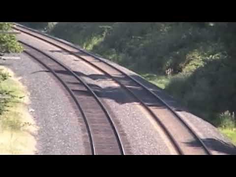 Southern Pacific 4449 Daylight GS-4 Northern 4-8-4 Locomotive