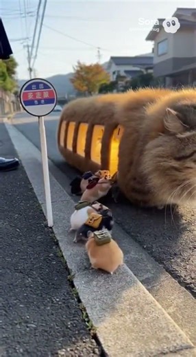 #Train for mouse 😂