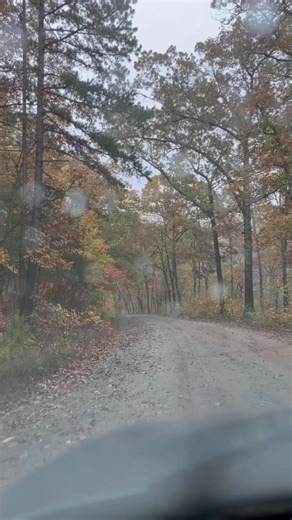 Upper Falling Waters Road | Arkansas Outdoors