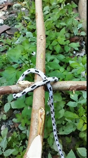 99% Don't Know This Square Lashing Trick !