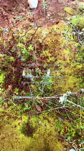 #gerrigirl #california