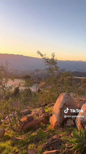 mirae.hanna on TikTok