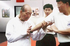 Choy Li Fut Kung-Fu - The Origins of Combat Kung-Fu