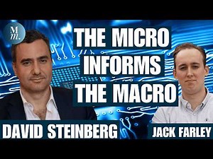 How Micro Informs The Macro | David Steinberg on Scott Bessent, Pet Investing, Semis, & Music