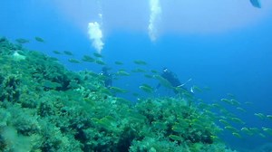 🇮🇹 Ustica: dove viaggio, sogno e m'innamoro. http://www.visitsicily.info/10cosea/ustica/ 🇬🇧 Ustica: where I travel, dream and fall in love http://www.visitsicily.info/en/10cosea/ustica/ 🎥 @Alessio Liotti #visitsicilyinfo #viaggioinisicilia #viaggioinitalia #estateitaliana | Visit Sicily