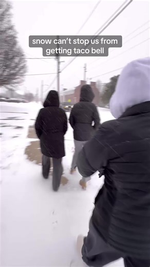 Kappa Cows in Their Natural Habitat Explained