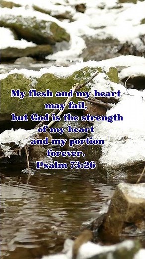 Bible Verse of the Day