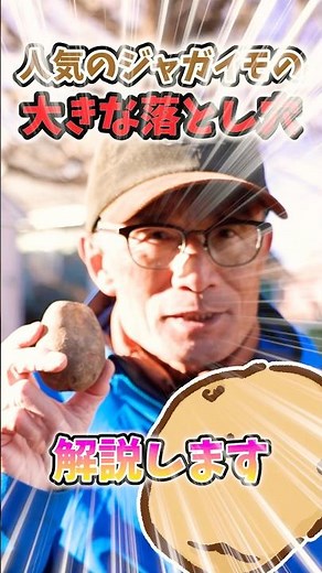 Unexpected pitfalls of growing potatoes in home gardens and farms! Be careful of small potatoes w...