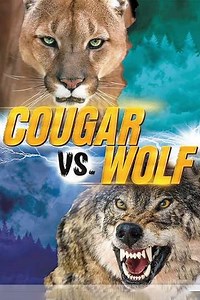 Cougar v. Wolf (2013) - Movie