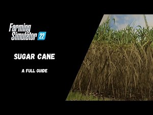 FS22 - Sugar Cane, A Full Guide - Farming Simulator 22