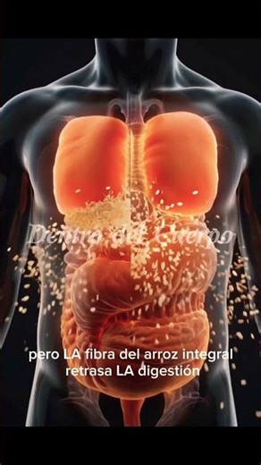 Arroz Blanco vs Arroz Integral — ¿Qué Pasa Dentro de Tu Cuerpo? 🍚.