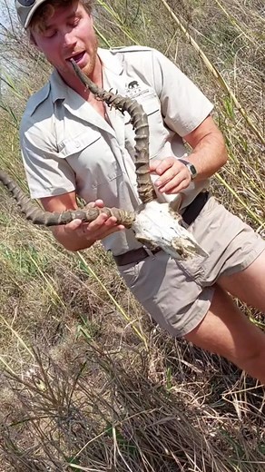 Exploring the Wild with Jungle Joe