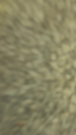 Barbie Face Paint Ideas for Kids