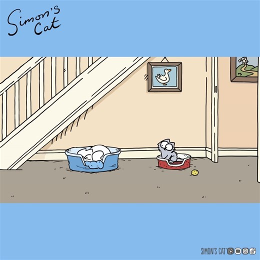 597K views · 26K reactions | When all you want is a nap... | Simon's Cat | Facebook