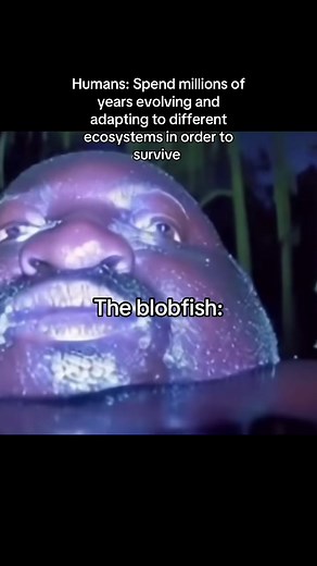Evolution of the Blobfish: Adapting to Survive