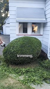 The GRUMPY Neighbor! #satisfying #landscape #gardening #shorts | Mini Lawncare