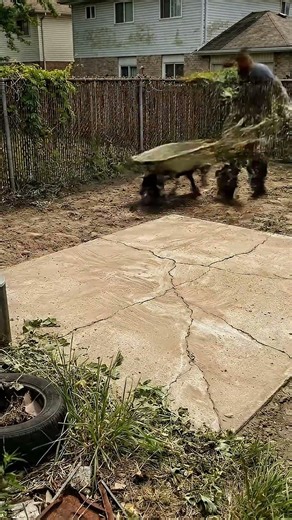 A Complete Backyard Transformation Into a Relaxing Family Space