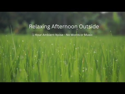 Relaxing Afternoon Outside: Anxiety Reducing Background Noise
