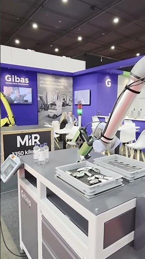 From random parts in a bin to precise placement - 3D robot vision