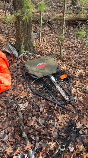 Quinton Thryselius on Instagram: "11/22/25 The random maple paid off again! I randomly picked this tree opening morning of bow season and harvested a doe out of it. Well, that same tree produced another deer for the opener of the Wisconsin gun deer season back in November. #hunting #deerhunting #wisconsin #outdoors #outdoorlife #gunseason #deer #deerseason #adventure #whatgetsyououtdoors"