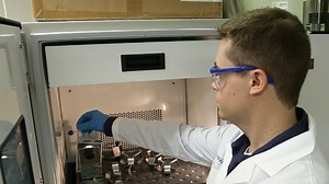 CRISPR-mediated Genome Editing of the Human Fungal Pathogen Candida albicans