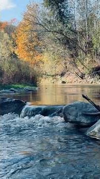 Natures, beauty and Symphony ￼#nature #music #4k