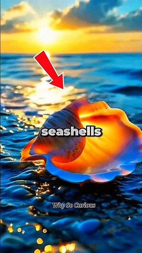 Why do seashells sound like the ocean.