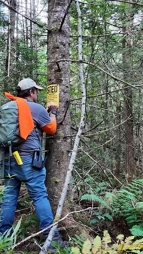 Annual Farm Chore: Walking the Property & Posting Signs #farmlife #fblifestyle #farmchores #animals | Gold Shaw Farm