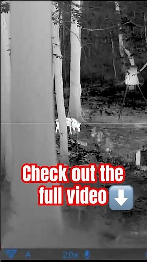 Full vid is out!! 4 HOGS DOWN #hoghunting #hunting #thermal #thermalhunting #outdoors