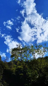 1.4M views · 10K reactions | 你们知道如何制作糕点吗？【苗族小宇】Do you know how to make pastries #苗族小宇 #美食 #農村 #美食製作 #農村生活 #cooking #delicious #food | 苗族小宇 | Facebook